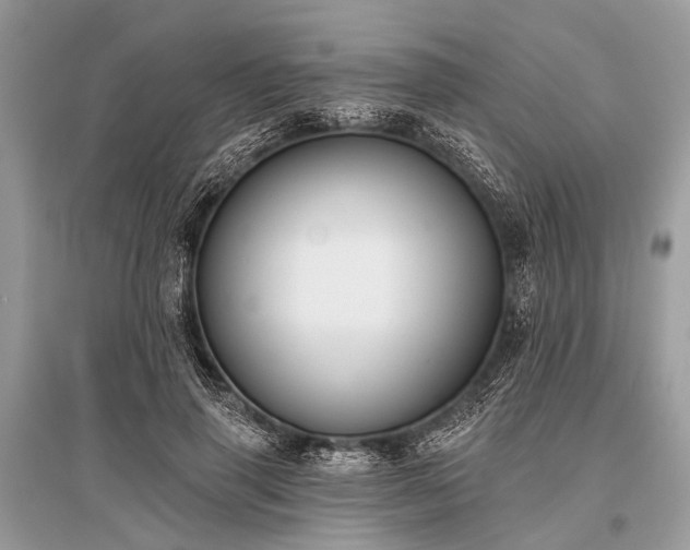 X0000096130645200801251018