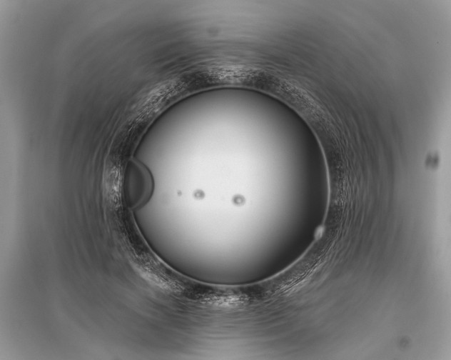 X0000096130646200801251018