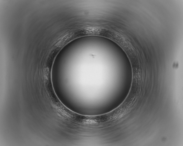 X0000096130649200801251018