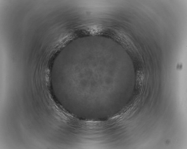 X0000096130650200801251018