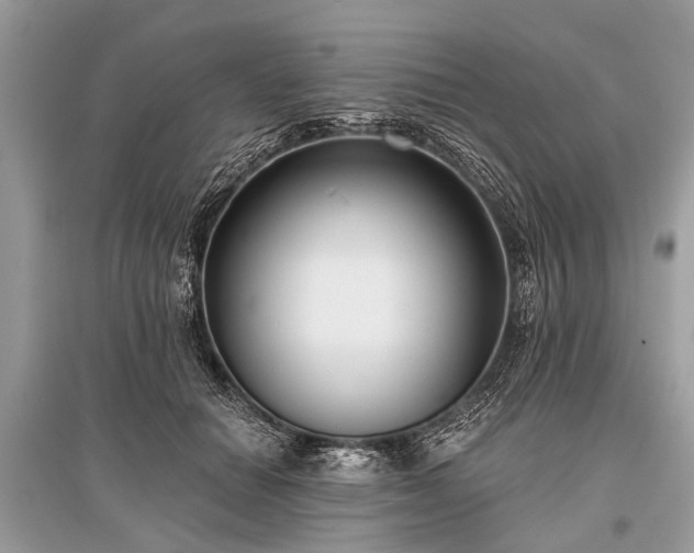 X0000096130654200801251018