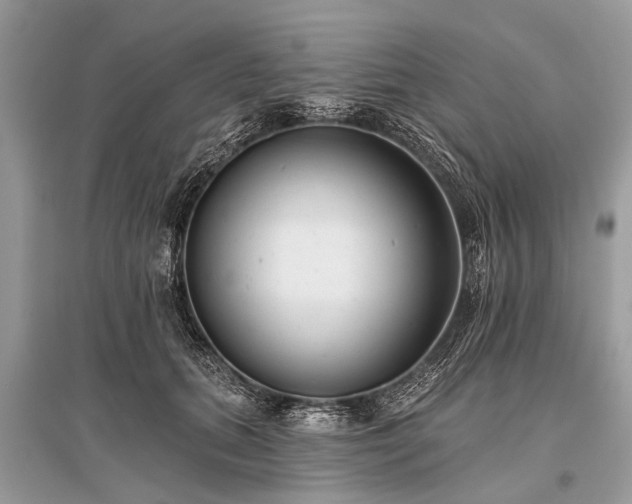 X0000096130655200801251018