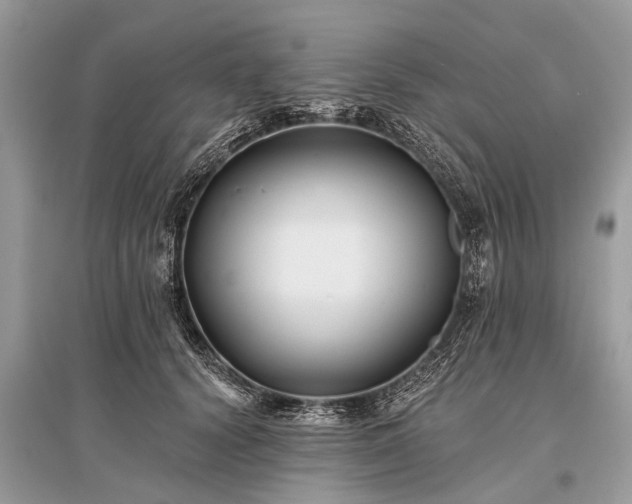 X0000096130656200801251018