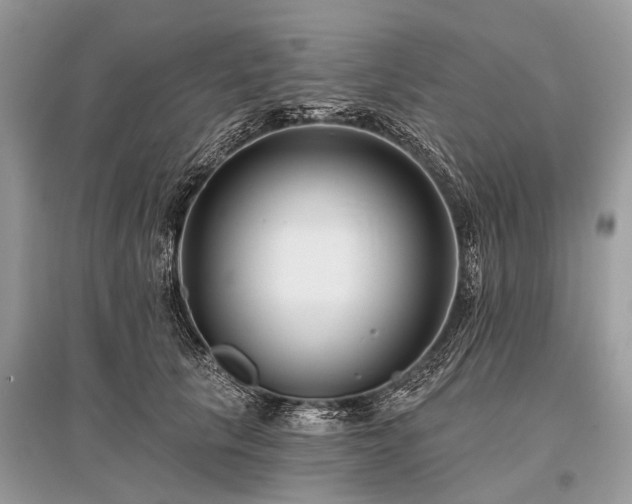 X0000096130657200801251018