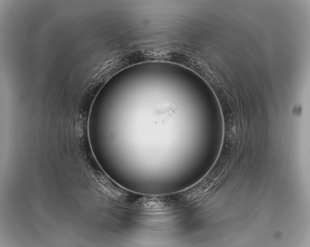 X0000096130658200801251018