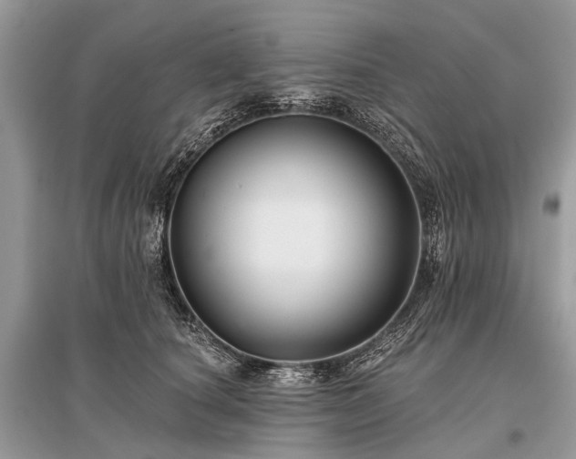 X0000096130660200801251018