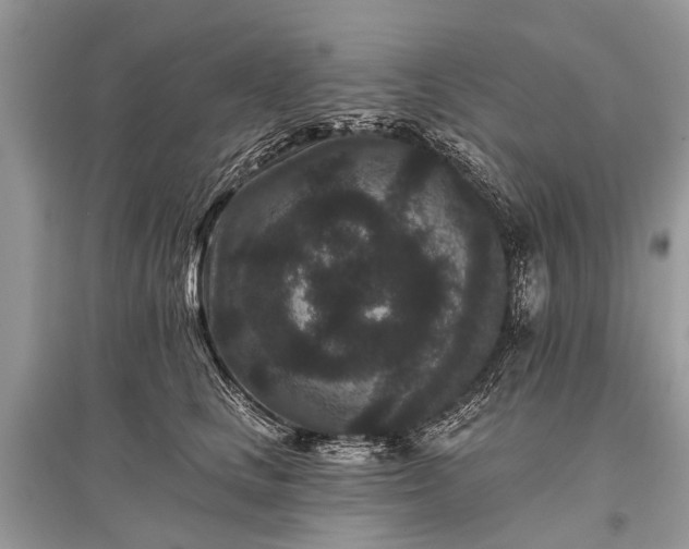 X0000096130661200801251018