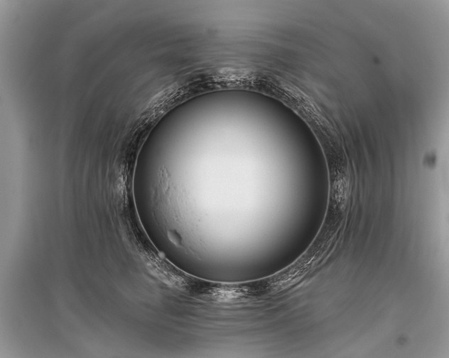 X0000096130662200801251018