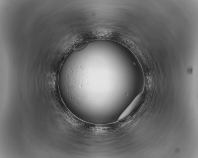 X0000096130664200801251018