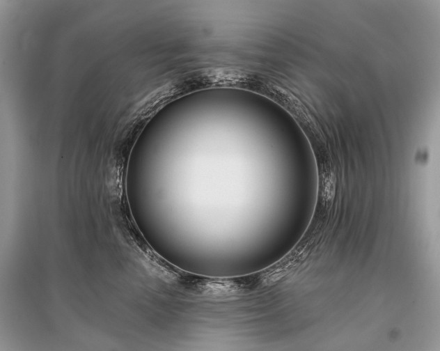 X0000096130666200801251018