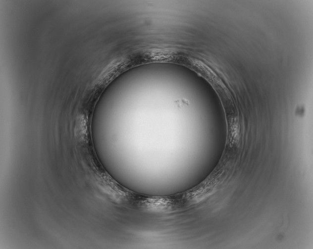 X0000096130667200801251018