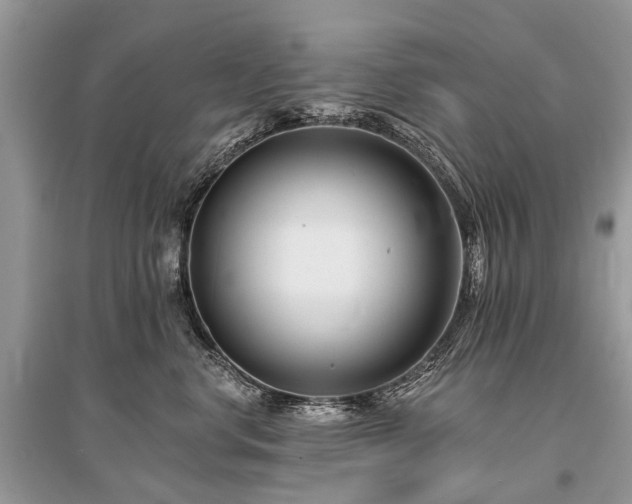 X0000096130668200801251018