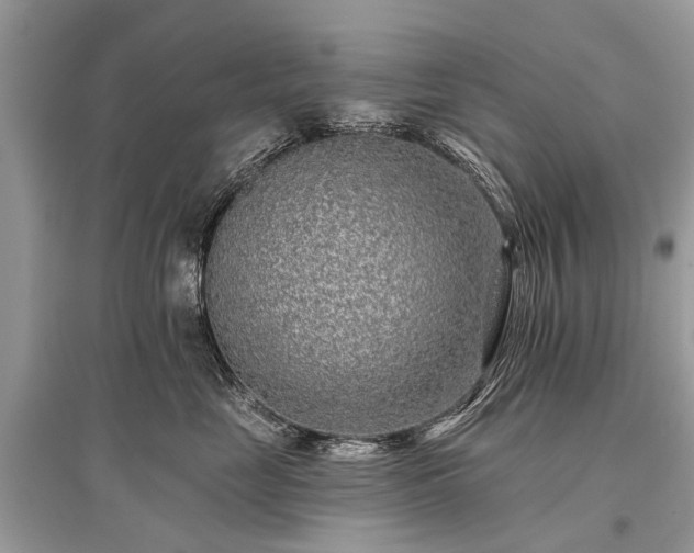 X0000096130669200801251018
