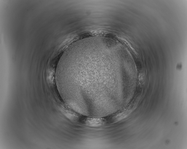 X0000096130671200801251018