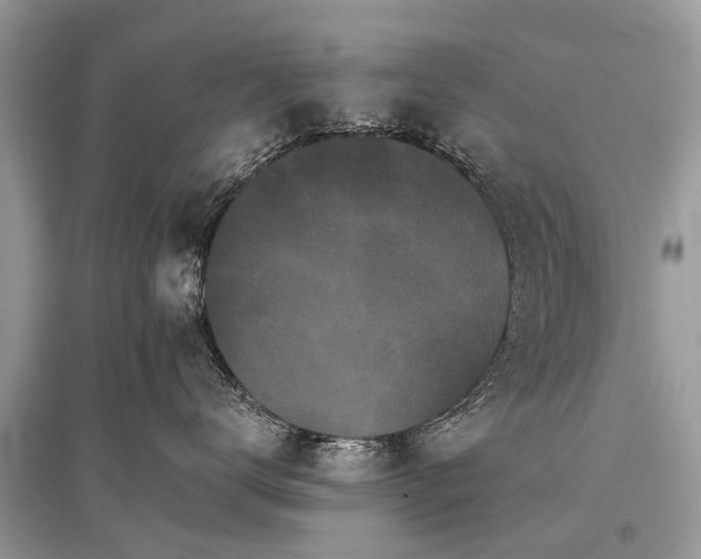 X0000096130672200801251018