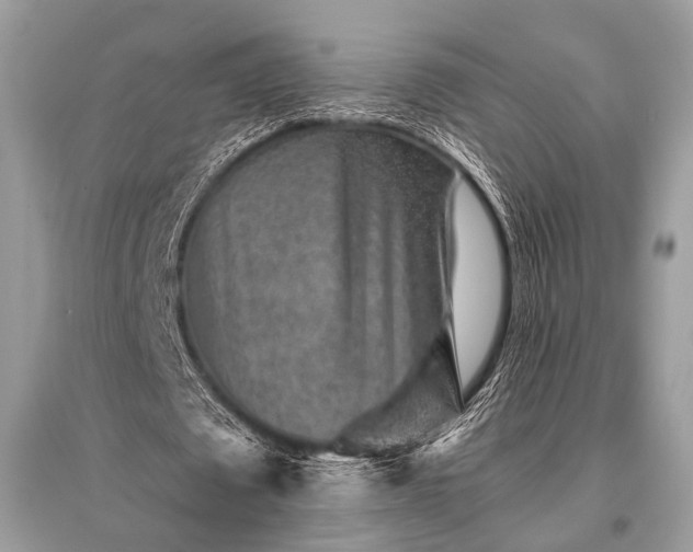 X0000096130673200801251018