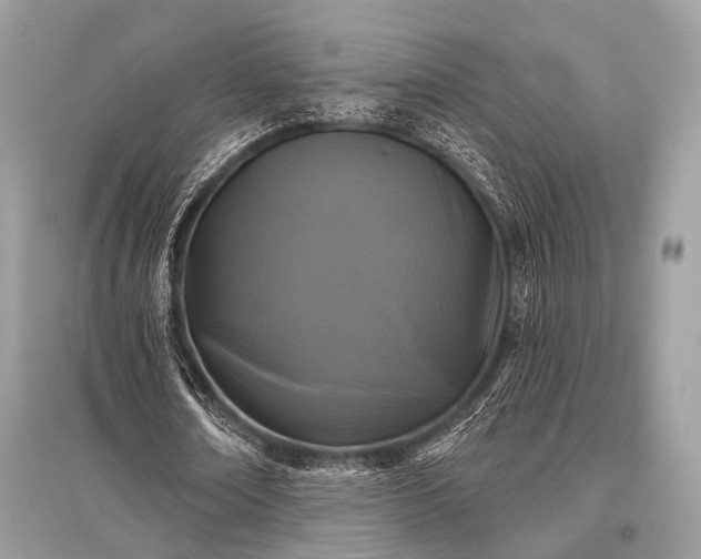 X0000096130674200801251018