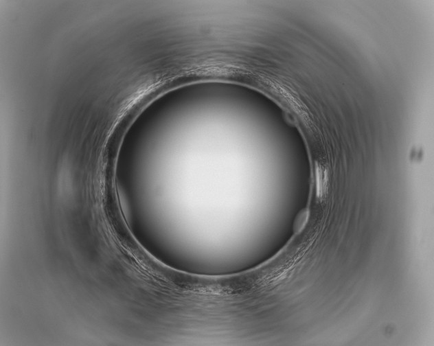 X0000096130675200801251018