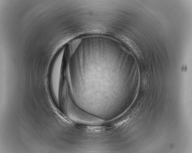 X0000096130677200801251017