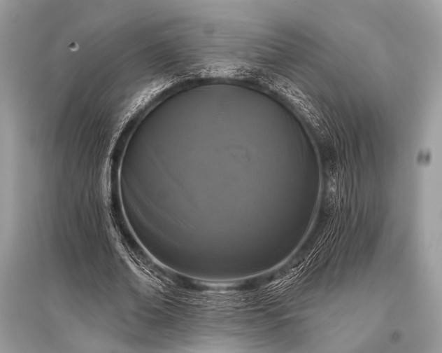 X0000096130678200801251017