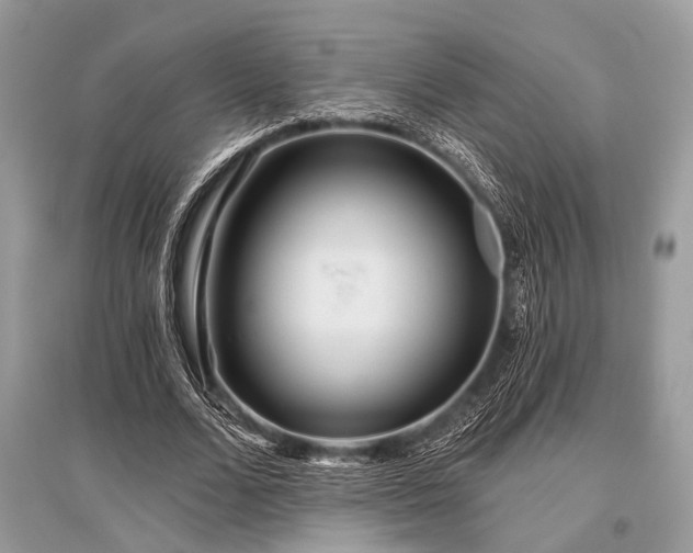 X0000096130680200801251017