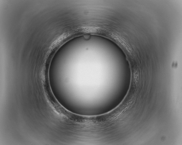 X0000096130682200801251017