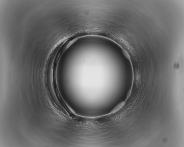 X0000096130684200801251017