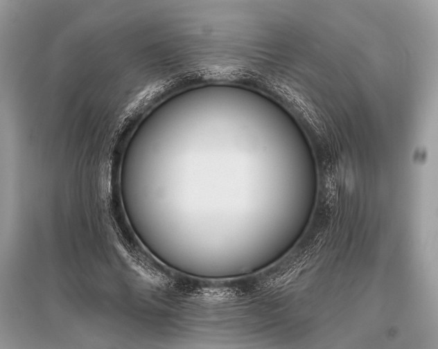 X0000096130686200801251017