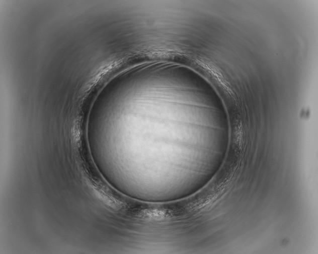 X0000096130687200801251017
