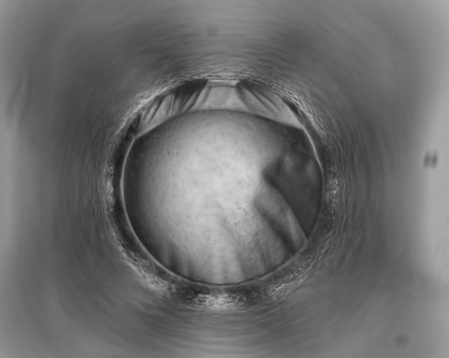 X0000096130688200801251017