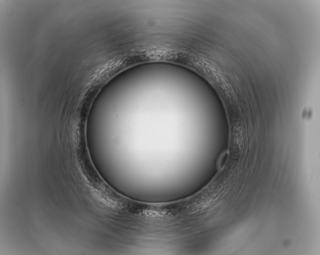 X0000096130690200801251017