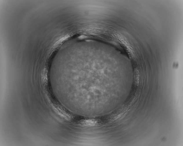 X0000096130692200801251017