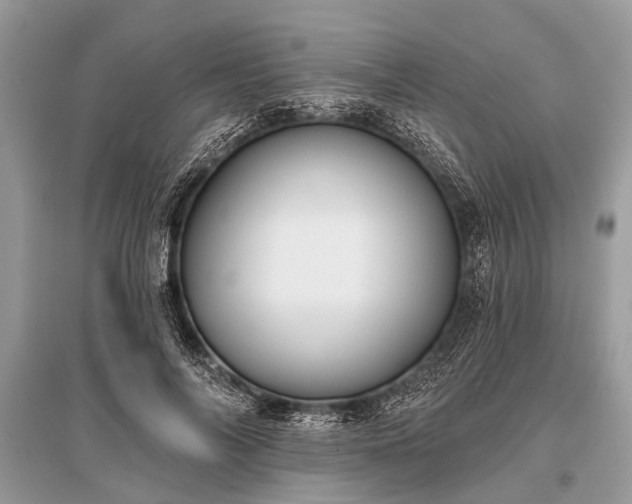X0000096130694200801251017