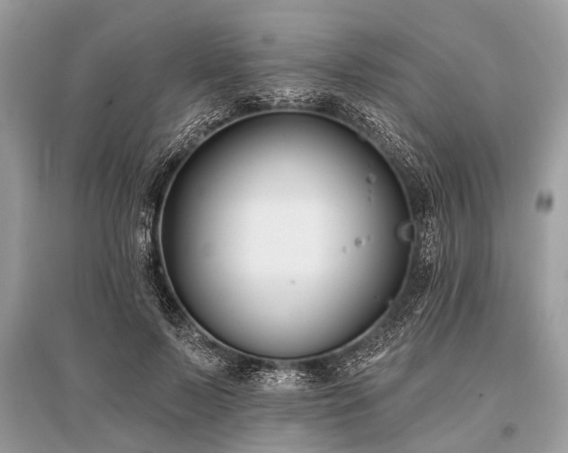 X0000096130695200801251017