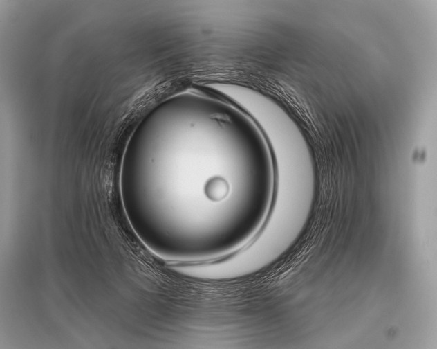 X0000096130697200801251017