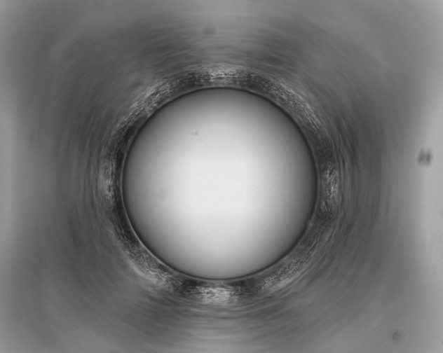 X0000096130698200801251017