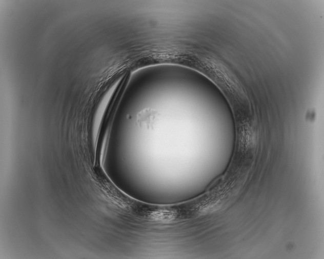 X0000096130700200801251017