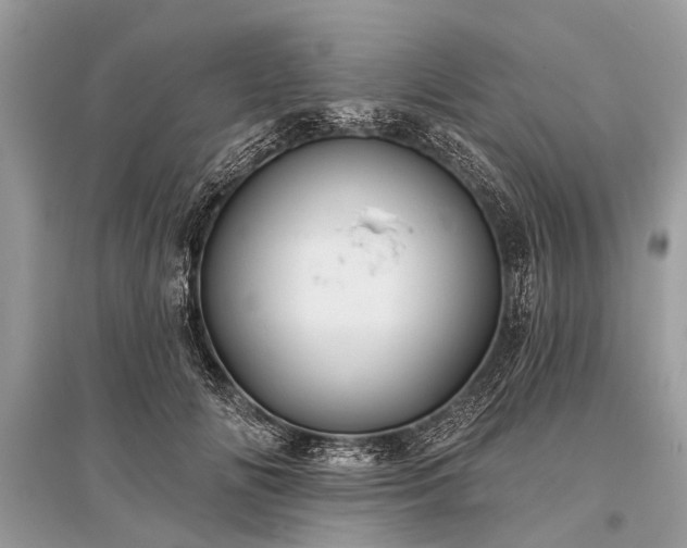X0000096130702200801251017