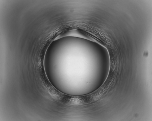 X0000096130704200801251017