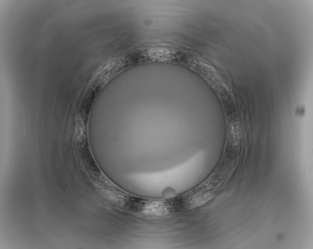 X0000096130705200801251017