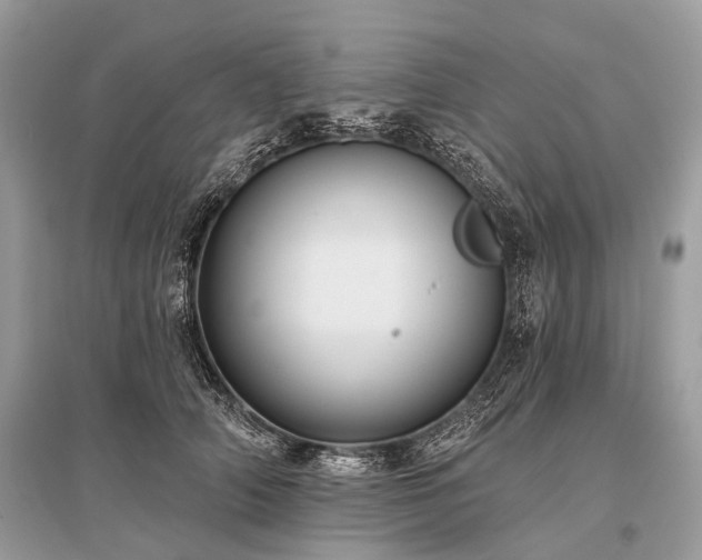 X0000096130706200801251017