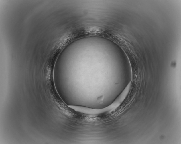 X0000096130708200801251017
