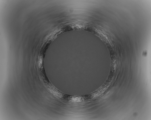 X0000096130709200801251017