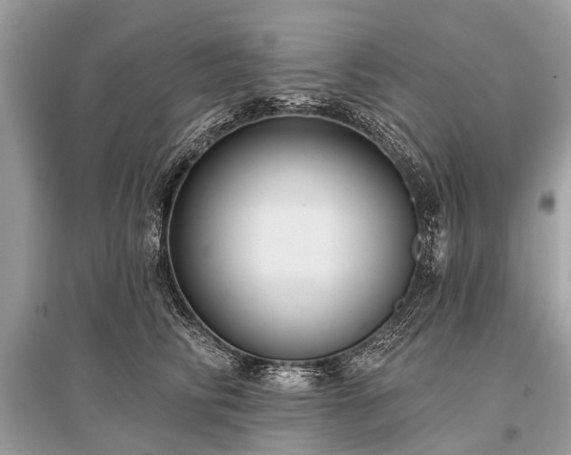 X0000096130710200801251017