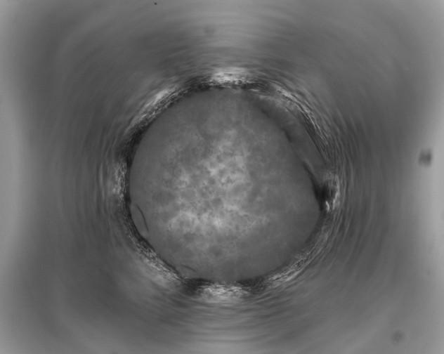 X0000096130712200801251017