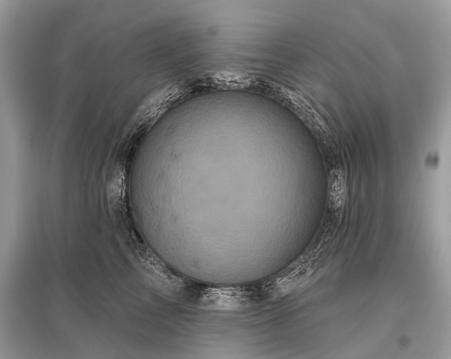 X0000096130713200801251017