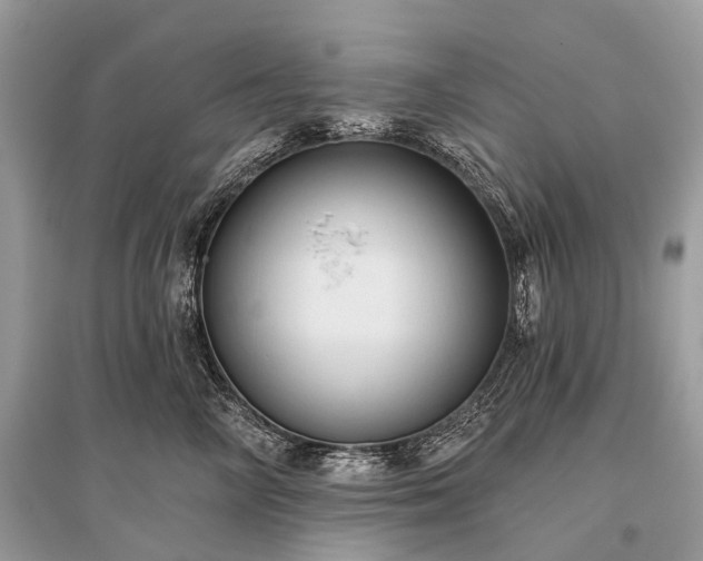 X0000096130714200801251017