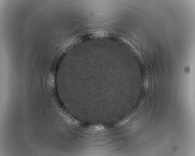 X0000096130715200801251017