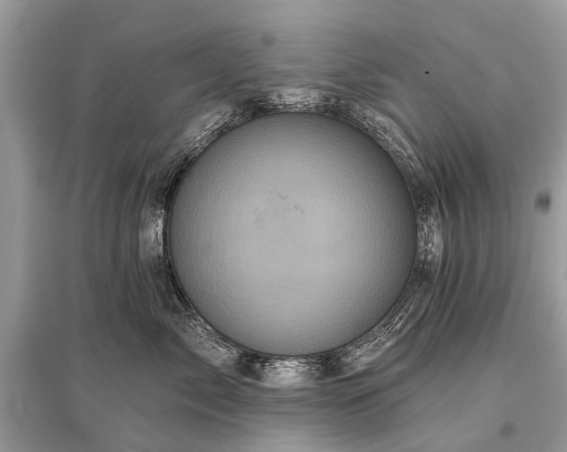 X0000096130717200801251017