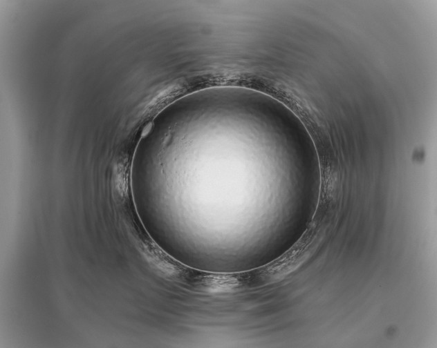 X0000096130719200801251017